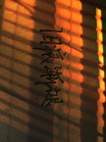 旧痕渐褪