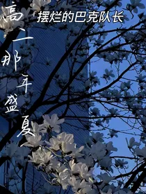 高二那年盛夏