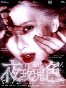TF三代：夜色玫瑰