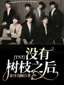 TNT：没有树枝之后