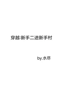 穿越：新手二进新手村