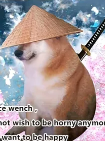 cheems：为自己而活