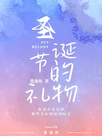 最后的圣诞节礼物