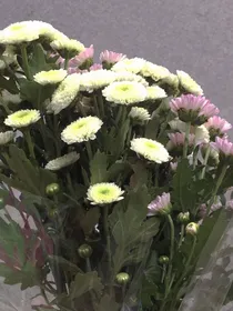 烟火杂谈