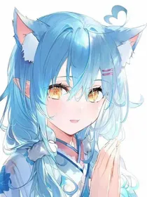 猫猫的生活