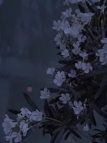 校霸：她真的超甜！！
