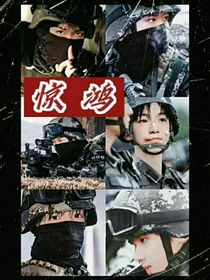 极禹：惊鸿