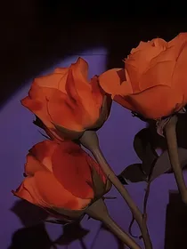 正解之外