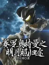 赛罗奥特曼之明月照归途