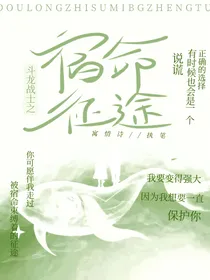 斗龙：宿命征途