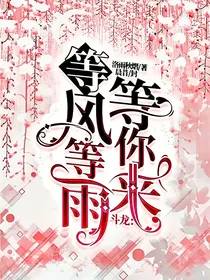 斗龙：等风等雨等你来