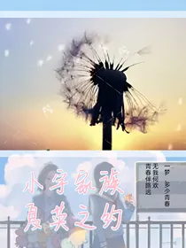 小宇家族：夏英之约（弃坑）