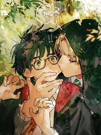 HP德哈：这次我不会错过你了