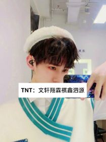 TNT：文轩翔霖祺鑫泗源