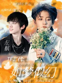 TF三代：如梦似幻
