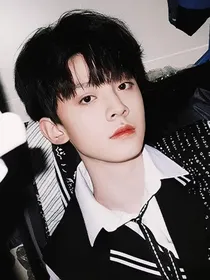 TF家族：ACE是团宠还是团霸呢