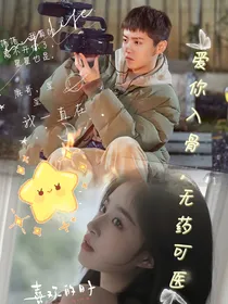 爱你入骨，无药可医