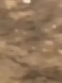 规则怪谈F1