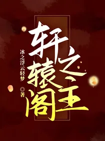 轩辕阁之主