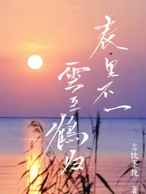 表里不一，云至鹤归