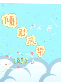 倾君风华