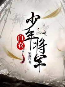 少年白衣将军
