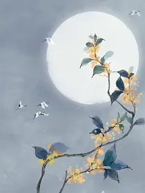 瑹