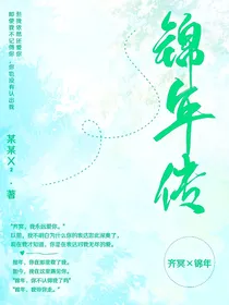 锦年传
