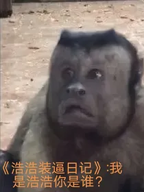 浩浩装逼日记