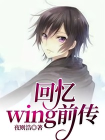 回忆wing前传