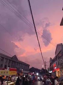 深情夜莺