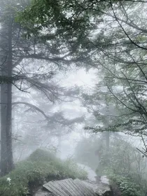 变态小说一世游
