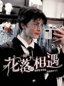 HP：花落时相遇