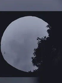 我心将向明月