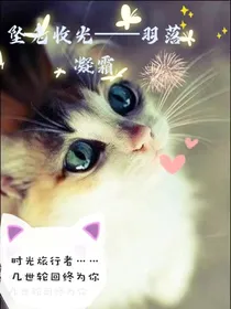 坠兔收光——羽落凝霜