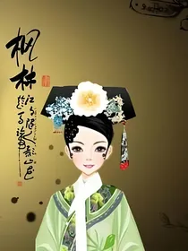 甄嬛传之重启夏冬春