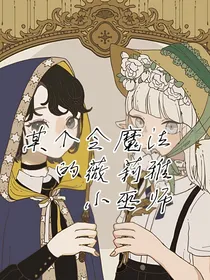 HP：某个会魔法的薇莉雅小巫师
