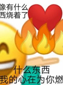 被好几个男人觊觎怎么办