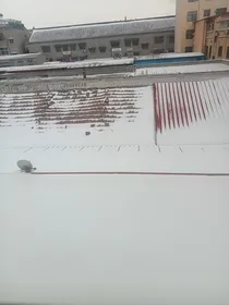 无声离去