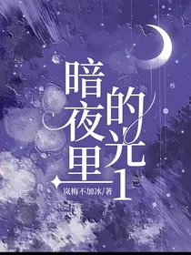 暗夜里的光1