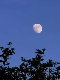 凹凸世界：他们的白月光