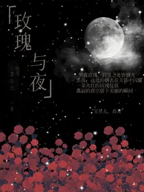 玫瑰与夜