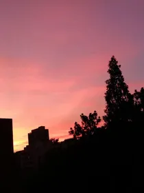 月光皎皎
