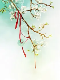综穿之追夫有道