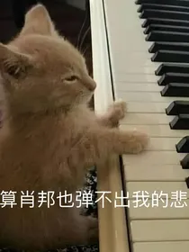 七七已曲