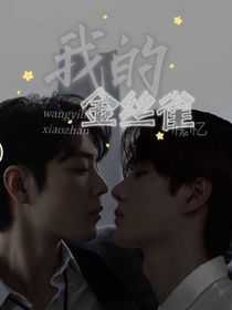 博君一肖：我的金丝雀