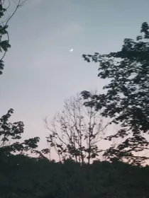 现实不是童话故事