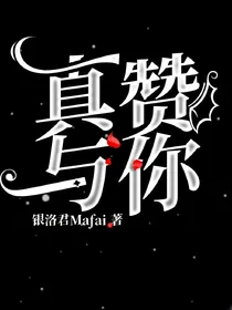 真赞与你