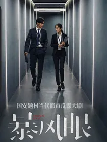 暴风眼原著小说