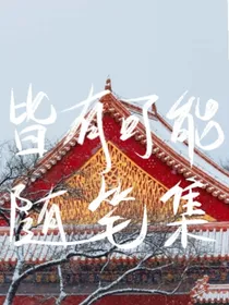 皆有可能随笔集